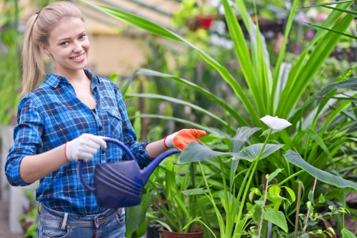 Patio paving and garden landscaping work in Kingston