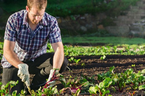 Accessible web content for Kingston landscaping with screen-reader support