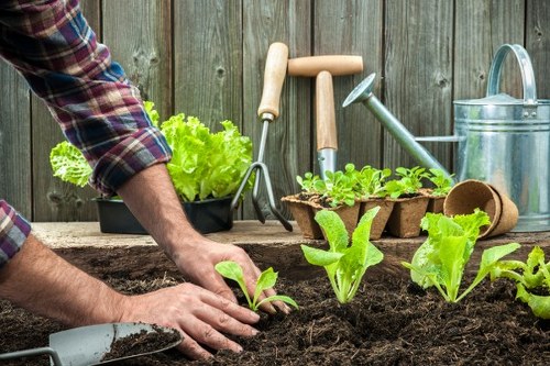 Waste removal and site clearance compliance in landscaping services