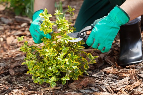 Worker safety and ethical landscaping standards at Landscaping Kingston