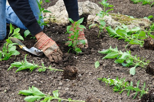 Client booking and quotation stage for landscaping services
