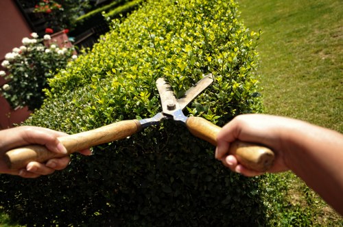 Audit review of landscaping supplier compliance and worker welfare