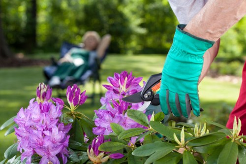 Keyboard navigation on a landscaping website for Kingston visitors