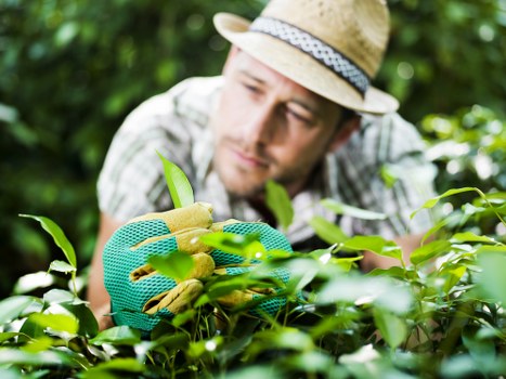 Reliable secure checkout for Landscaping Kingston services