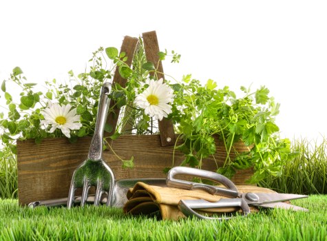 Residential garden landscaping in Kingston with access-aware construction