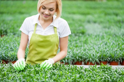 Website improvement and cookie management concept for Landscaping Kingston