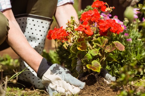 Sustainable landscaping and recycling efforts in Kingston