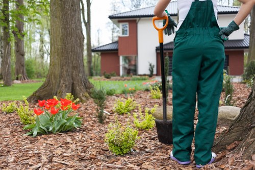Inclusive online experience for landscaping services in Kingston