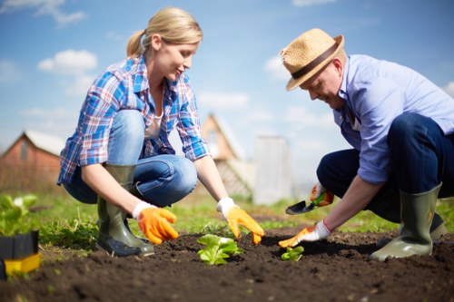 Turfing and planting work as part of soft landscaping in Kingston
