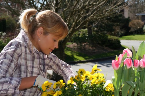 Supplier due diligence for Landscaping Kingston's labour chain